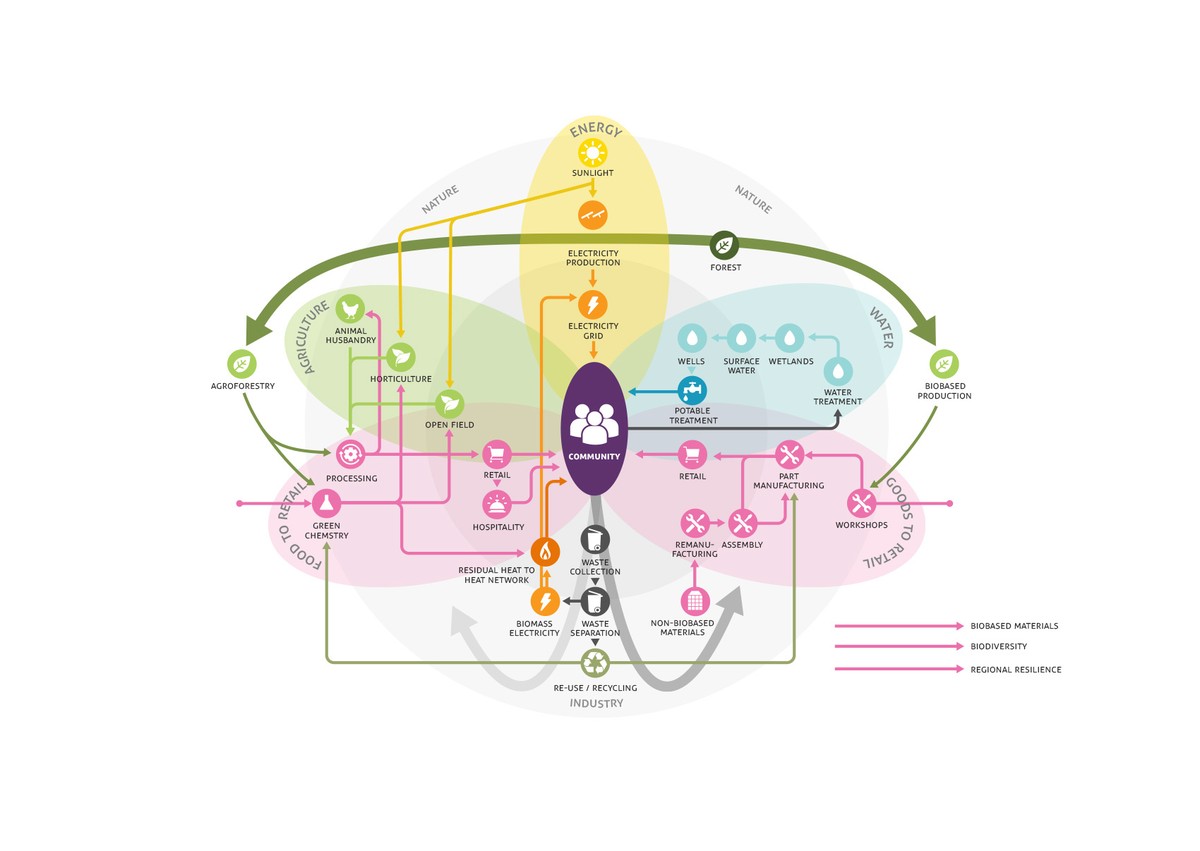 OC-metabolic diagram