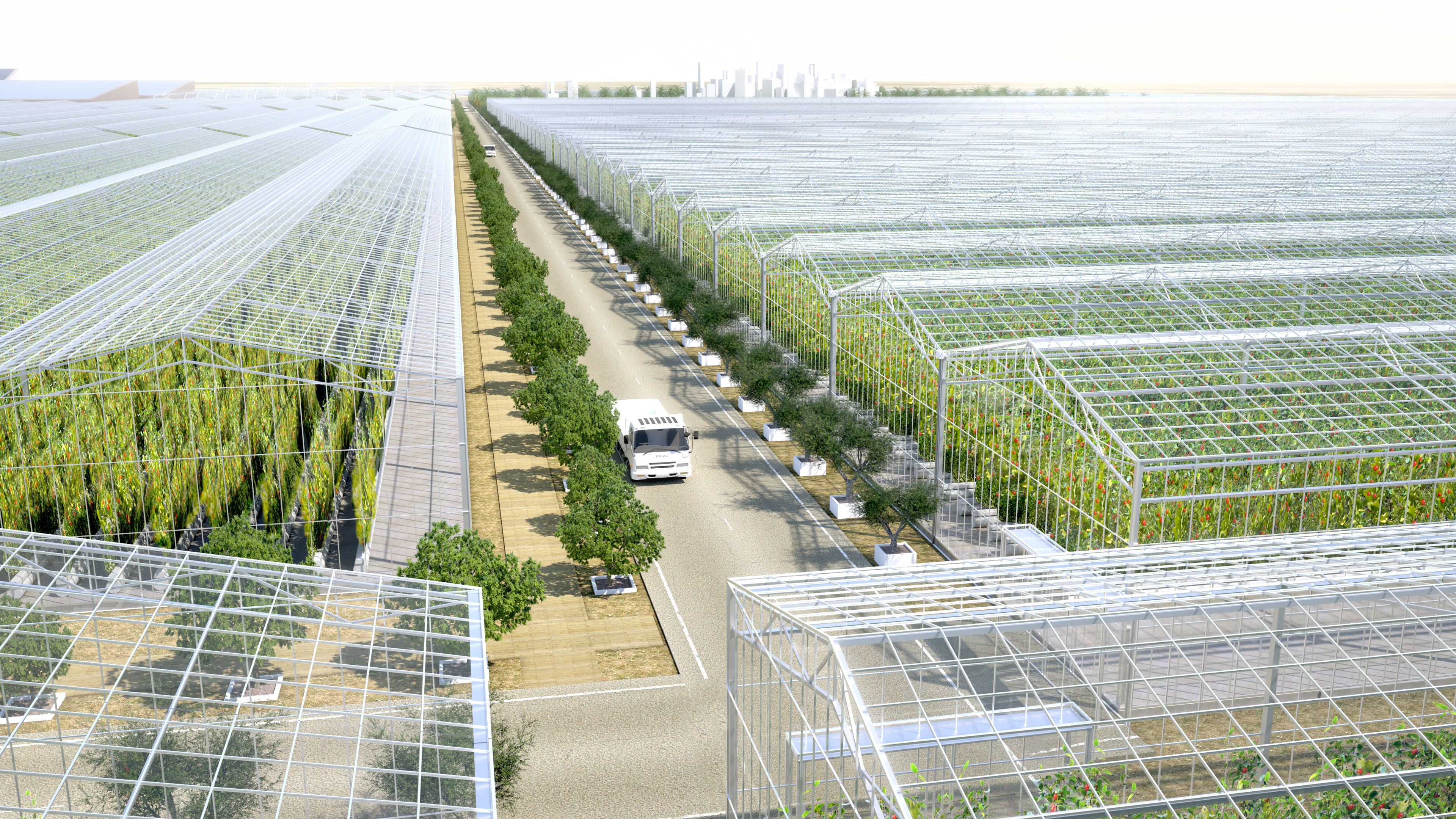 Serenity Farms SF_v14_CSP_003.jpg