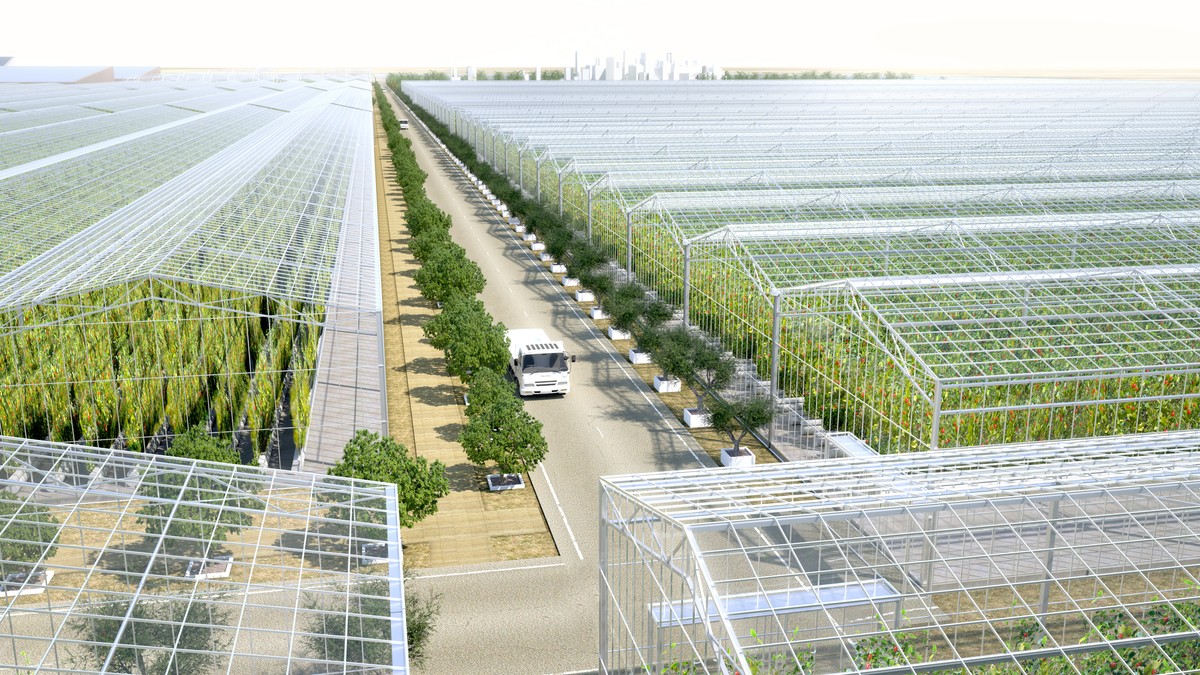 Serenity Farms SF_v14_CSP_003.jpg