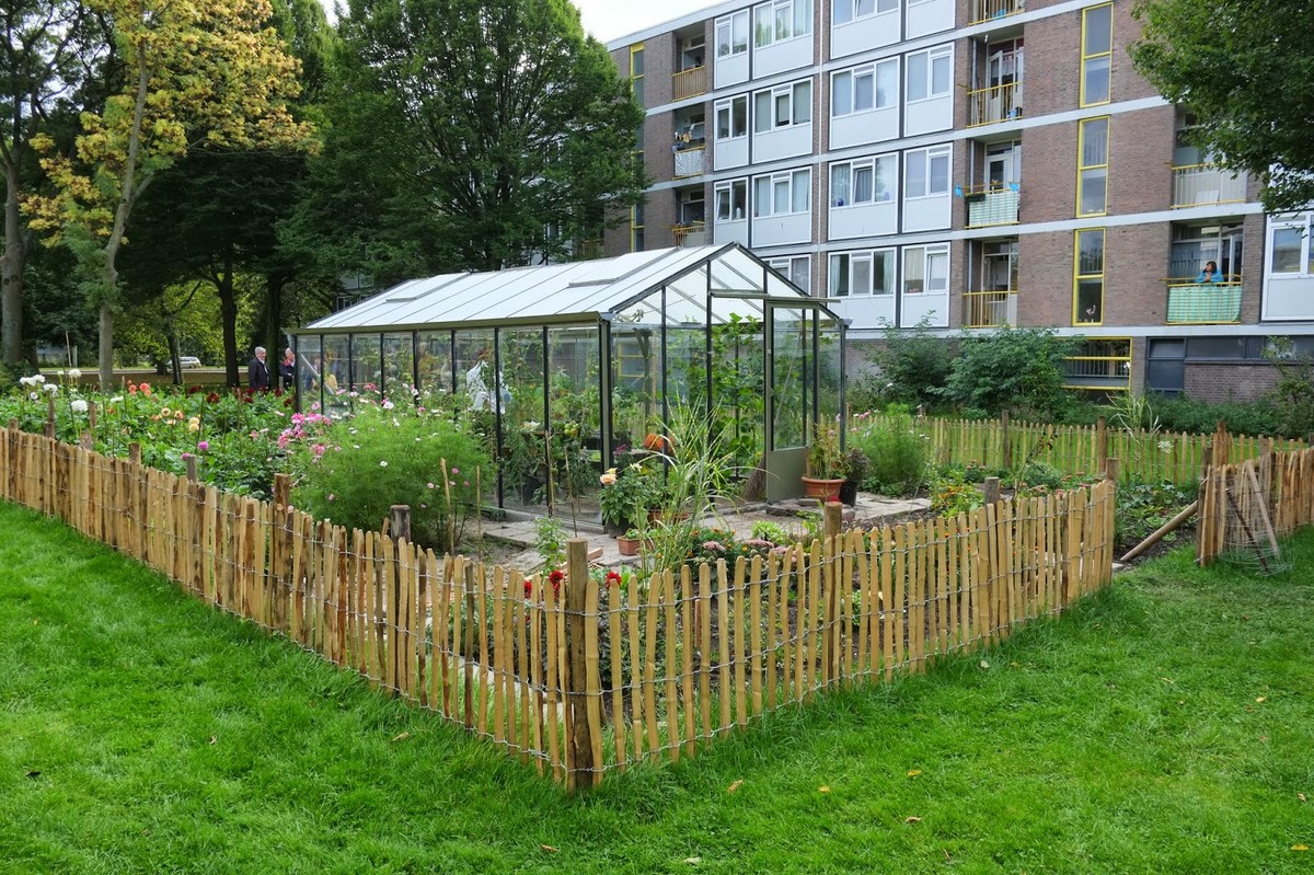 Schiebroek zuid kas.jpg